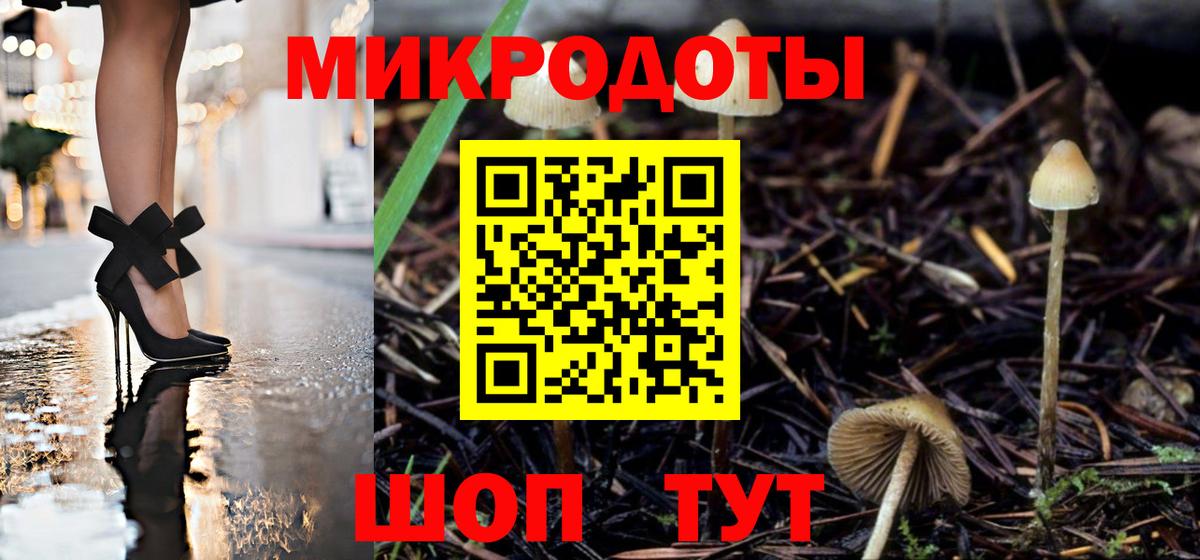 Псилоцибиновые грибы Psilocybe  Галлюциногенные грибы Psilocybe  Вход с VPN  Волхов 